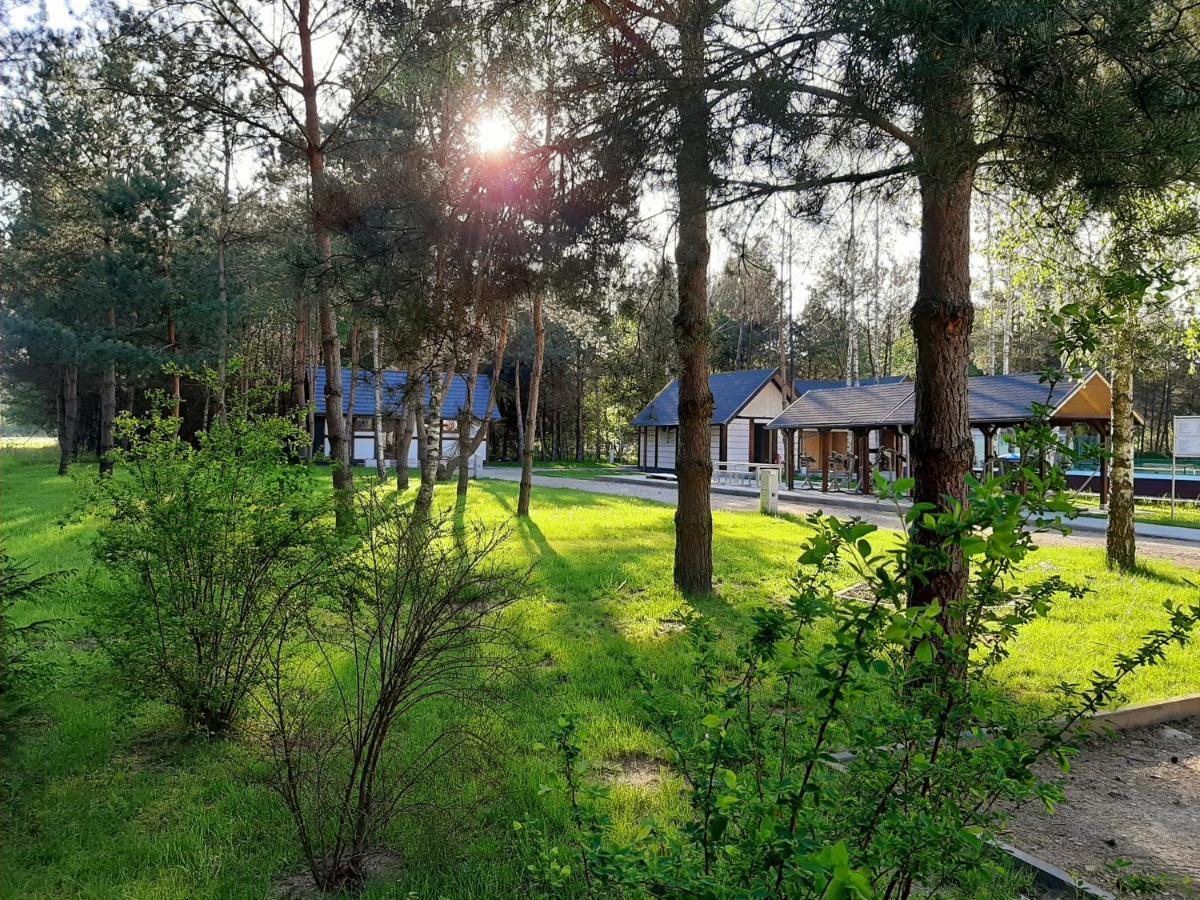 Osrodek Wypoczynkowy Lubu Dubu Hotel Dankow Bagian luar foto